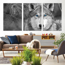 Wild Wolf Blue Eye Wall Art Canvas Print