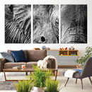 Wild Old Elephant Wall Art Canvas Print