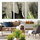 Wild Elephant Wall Art Canvas Print by MyGreatCanvas | Canvas Wall Art Prints | Photo Prints & Wall Decor