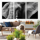 Big Elephant Close Up Wall Art Canvas Print