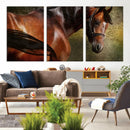 Majestic Brown Horse Wall Art Canvas Print – Framed