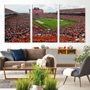 Auburn Stadium Wall Art Canvas Print, Jordan Hare Stadium by MyGreatCanvas | Canvas Wall Art Prints | Photo Prints & Wall Decor