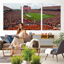 Auburn Stadium Wall Art Canvas Print, Jordan Hare Stadium