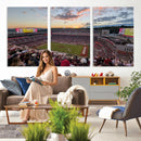 Donald W. Reynolds Razorback Stadium Wall Art Canvas Print –