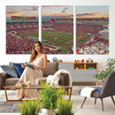 Donald W. Reynolds Razorback Stadium Wall Art Canvas Print –