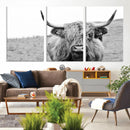 Newfoundland Cow Art Wall Art, Black White Cow Art Wall Art