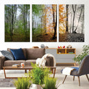 Four Seasons Wall Art Forest Canvas Print – Triptych