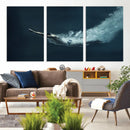 Swimmer Wall Art Canvas Print