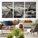 Cow Focus Canvas Wall Art Print by MyGreatCanvas | Canvas Wall Art Prints | Photo Prints & Wall Decor