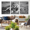 King Forest Lion Wall Art Canvas Print – Framed Majestic by MyGreatCanvas | Canvas Wall Art Prints | Photo Prints & Wall Decor