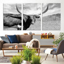 Cattle Wall Art Longhorn Cow Canvas Print