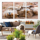 Lion Pair Wall Art Canvas Print – Framed Wildlife Scene with