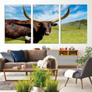 Longhorn and Cow Wall Art, Country Cow Wall Decor Canvas by MyGreatCanvas | Canvas Wall Art Prints | Photo Prints & Wall Decor