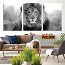Black and White Lion Canvas Wall Art – Animal Print Artwork