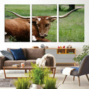 Longhorn Steer Canvas Wall Art – Rustic Nature Triptych