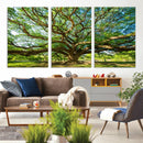 Majestic Oak Tree Wall Art – Serene Nature Canvas Print with