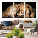 Lion and Lioness Wall Art Canvas Print – Framed African
