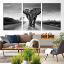 Black and White Elephant Wall Art Canvas Print