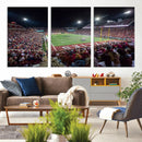 Mississippi State Bulldogs Stadium Wall Art Canvas Print –