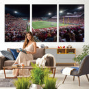 Washington-Grizzly Stadium Canvas Print, American Football