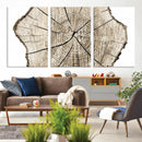 Abstract Wood Tree Ring Wall Art - Ready to Hang Minimalist