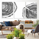 Abstract Large Tree Rings – Minimalist Black and White Wood