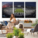 Penn State University Nittany Lions Football Team Print -