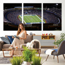 Buffalo Bills NFL Football Team Print - Highmark Stadium