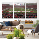 Wisconsin Badgers Team Print Canvas - Madison Camp Randall