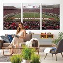 Wisconsin Badgers Team Print Canvas - Madison Camp Randall