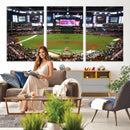 Arizona Diamondbacks Baseball Team Print - Phoenix Chase