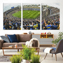 Boca Juniors Soccer Team Print Wall Art - Buenos Aires