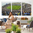 Boca Juniors Soccer Team Print Wall Art - Buenos Aires