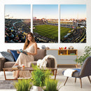 Boca Juniors Soccer Team Print - Buenos Aires Bombonera