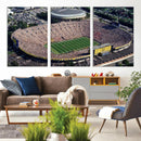 Michigan Wolverines Football Team Print - Ann Arbor Michigan