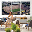 Michigan Wolverines Football Team Print - Ann Arbor Michigan