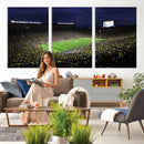 Michigan Wolverines Football Canvas Wall Decor, Football