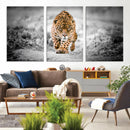 Jaguar Wall Art Canvas Print - Majestic Big Cat in Focused by MyGreatCanvas | Canvas Wall Art Prints | Photo Prints & Wall Decor