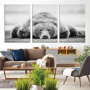 Resting Grizzly Bear Wall Art Canvas Print – Majestic Lazy by MyGreatCanvas | Canvas Wall Art Prints | Photo Prints & Wall Decor