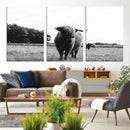 Black and White Highland Cow Wall Art Canvas Print | Rustic