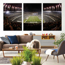 Eagles Field Stadium Wall Art - Philadelphia Eagles Football