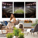 Eagles Field Stadium Wall Art - Philadelphia Eagles Football