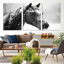 Horse Canvas Print - Winter Horse Snow Wall Art Canvas Print