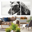 Framed Black and White Horse Wall Art | Ready to Hang and by MyGreatCanvas | Canvas Wall Art Prints | Photo Prints & Wall Decor