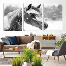 Black Horse Winter Wall Art | Ready to Hang and Framed |