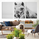 White Horse Wall Art | Ready to Hang and Framed | Winter