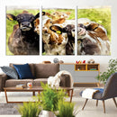 Curious Cows Farmhouse Wall Art | Ready to Hang and Framed
