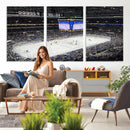 Enterprise Center Missouri St. Louis Blues Hockey Stadium