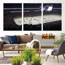 Honda Center California Anaheim Ducks Hockey Stadium Wall