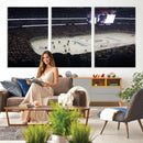 Honda Center California Anaheim Ducks Hockey Stadium Wall